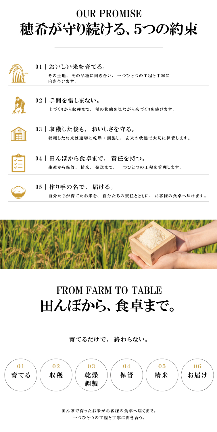 【予約】新米 お試し 3種類 2合 300g令和8年産 穂希シリーズ｜新潟県上越市産｜150年続く米農家 白舞ファーム 紹介画像5