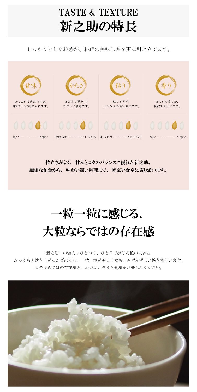 【予約】新米 令和8年産 穂希 新之助 300g/2kg/4kg/5kg/10kg｜新潟県上越市産｜150年続く米農家 白舞ファーム 紹介画像3