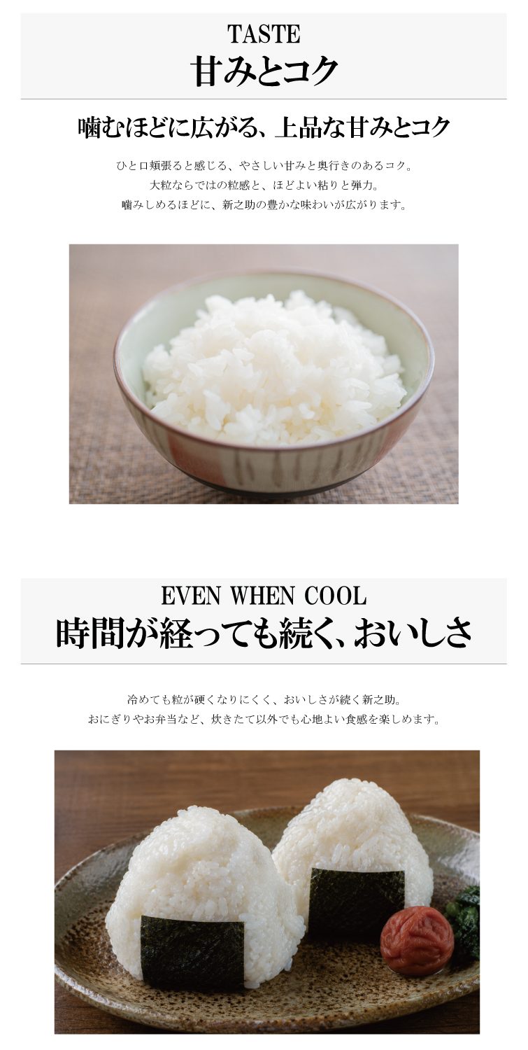 【予約】新米 令和8年産 穂希 新之助 300g/2kg/4kg/5kg/10kg｜新潟県上越市産｜150年続く米農家 白舞ファーム 紹介画像4