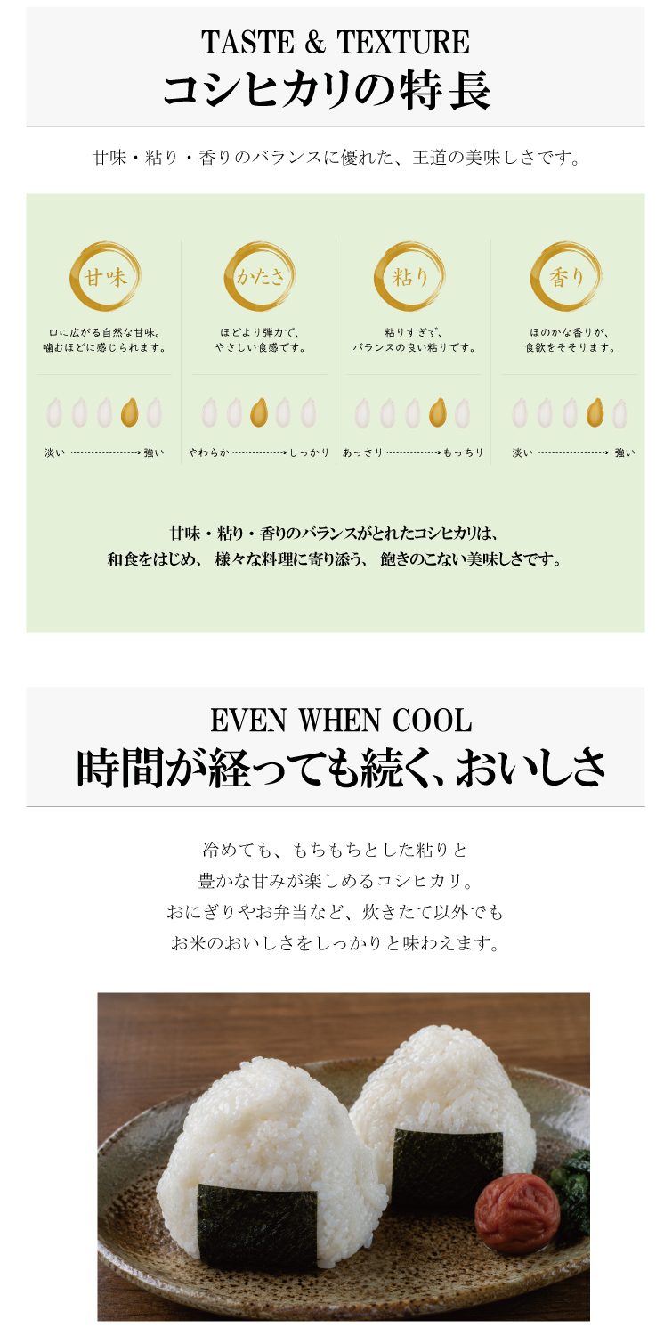 【予約】新米 令和8年産 穂希 コシヒカリ 300g/2kg/4kg/5kg/10kg｜新潟県上越市産｜150年続く米農家 白舞ファーム 紹介画像3