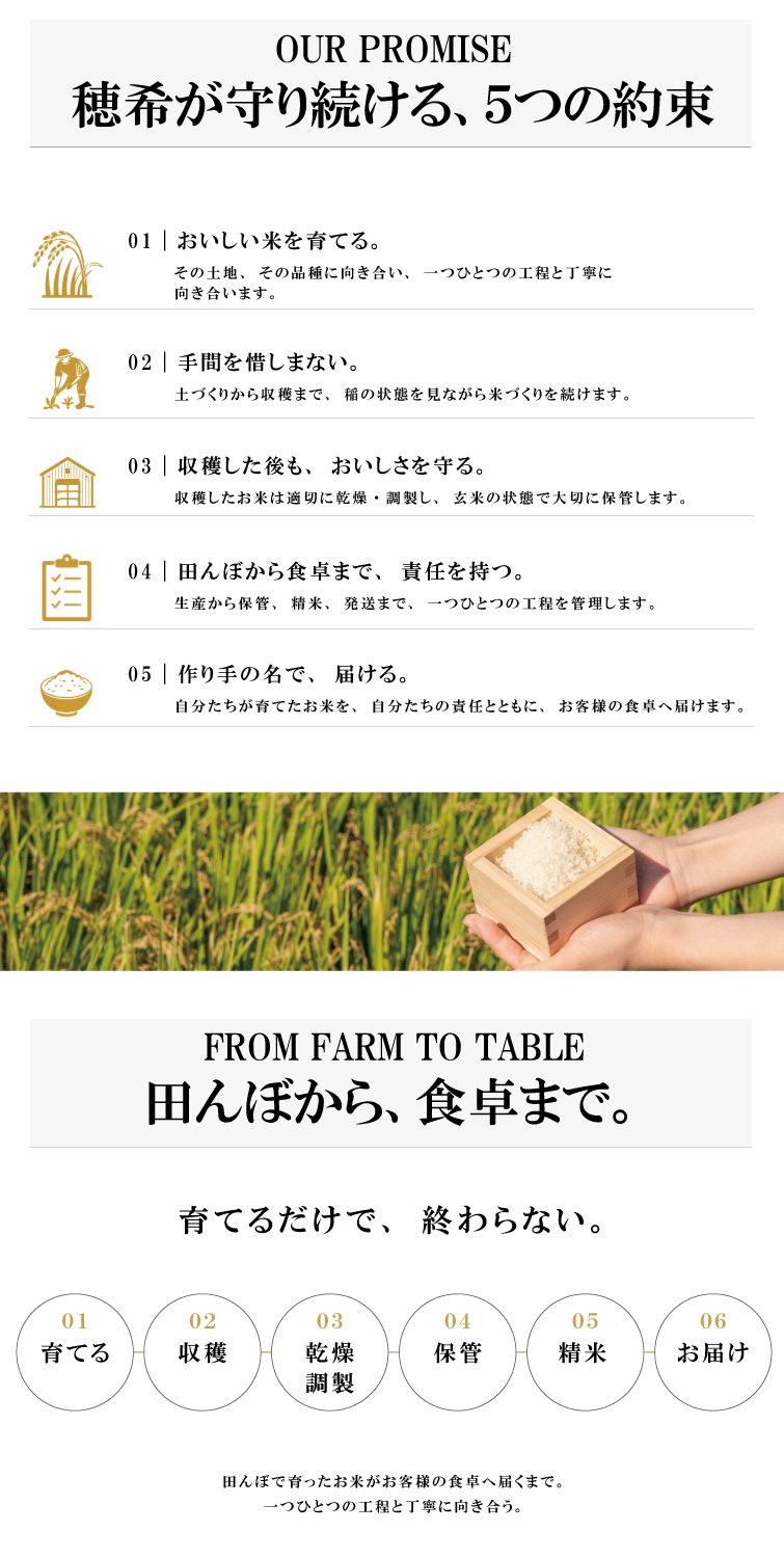【予約】新米 令和8年産 穂希 みずほの輝き 300g/2kg/4kg/5kg/10kg｜新潟県上越市産｜150年続く米農家 白舞ファーム 紹介画像5